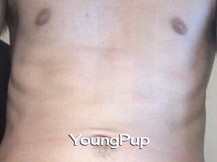YoungPup