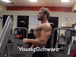 YoungSchwarz Click here to exit