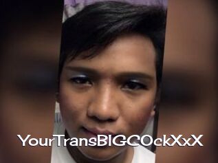 YourTransBIGCOckXxX