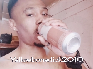 Yellowbonedick2010