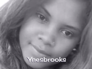 Ynesbrooks