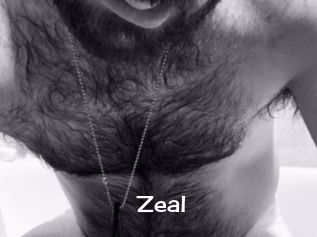 Zeal