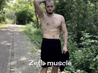 Zefs_muscle