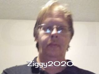 Ziggy2020
