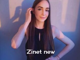Zinet_new
