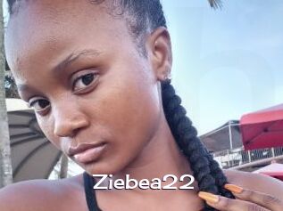 Ziebea22